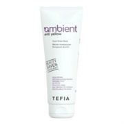 TEFIA Ambient Маска тонирующая для волос Холодный фиолет / Anti Yellow Cool Violet Mask, 250 мл 23223-64542