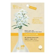 MIJIN Маска тканевая с экстрактом эдельвейса / MJ Care BSC Edelweiss Essence Mask, 25 г 15670-63968