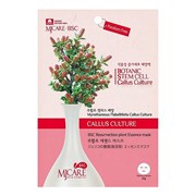 MIJIN Маска тканевая с экстрактом миротамнуса / MJ Care BSC Resurrection Plant Essence Mask, 25 г 15669-63978