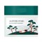 ROUND LAB Пэды для проблемной кожи лица с экстрактами сосны и центеллы / Pine Calming Cica Pad, 50 шт. (130 мл) 25804-73134 - фото 14778927