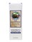 MEDIBEAU Крем для рук с экстрактом слизи улитки / Snail Hand Cream, 100 мл 25389-75859 - фото 14780659