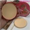 Tanako Компактная пудра Perfect Skin Powder SPF 45 тон 2 181930-231982 - фото 14817672